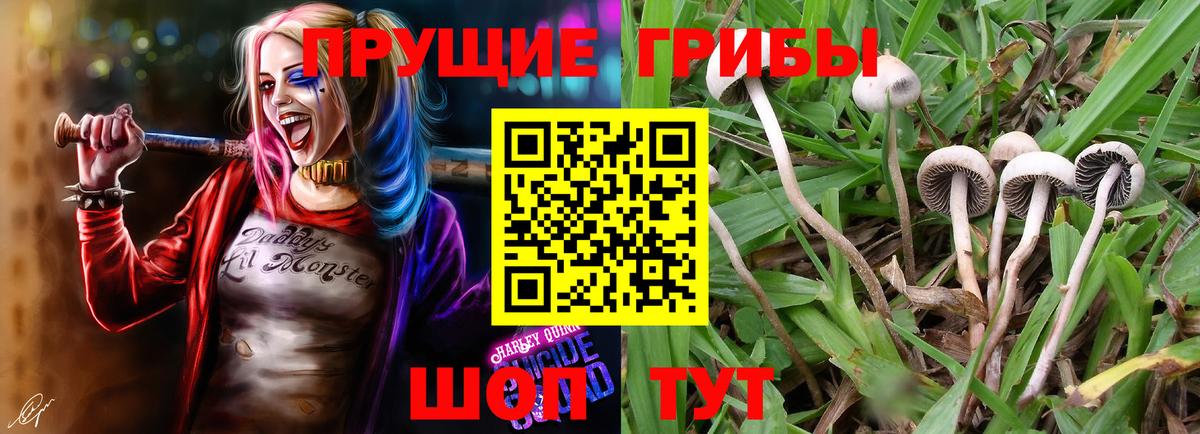 Галлюциногенные грибы GOLDEN TEACHER Сорочинск